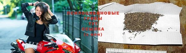 крисы Бугульма