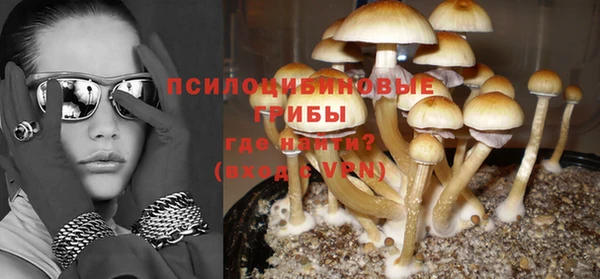 крисы Бугульма