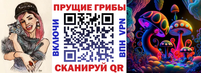 Купить  Лянтор  Псилоцибиновые грибы GOLDEN TEACHER 